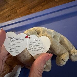 Ty Pecan Beanie Baby in Brown